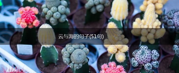 云与海的句子(51句),第1张