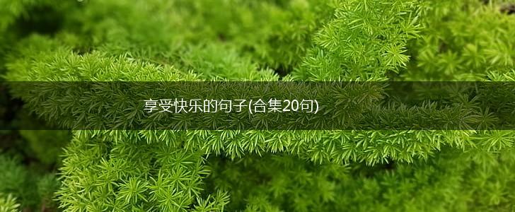 享受快乐的句子(合集20句),第1张