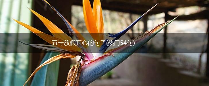 五一放假开心的句子(热门54句),第1张
