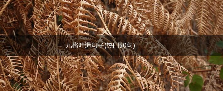 九格叶造句子(热门50句),第1张