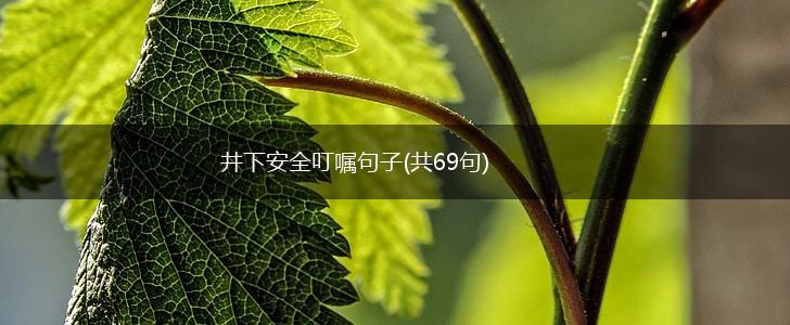 井下安全叮嘱句子(共69句),第1张