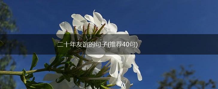 二十年友谊的句子(推荐40句),第1张