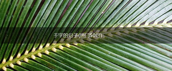 于字的句子(热门50句),第1张