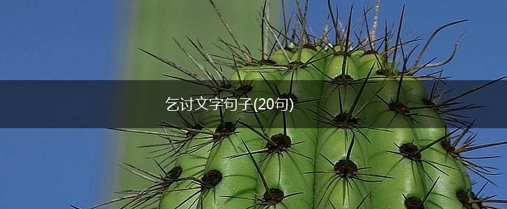 乞讨文字句子(20句),第1张