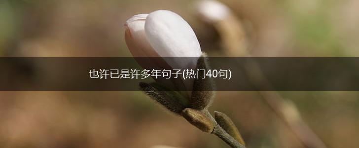 也许已是许多年句子(热门40句),第1张