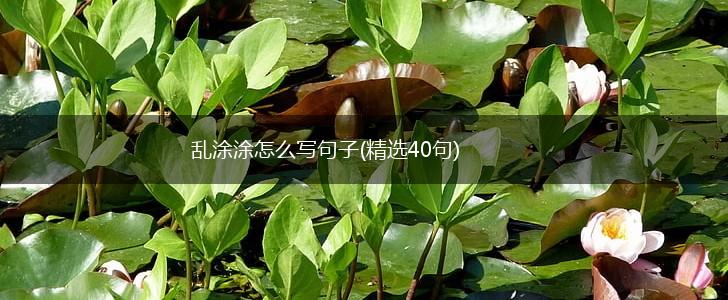 乱涂涂怎么写句子(精选40句),第1张