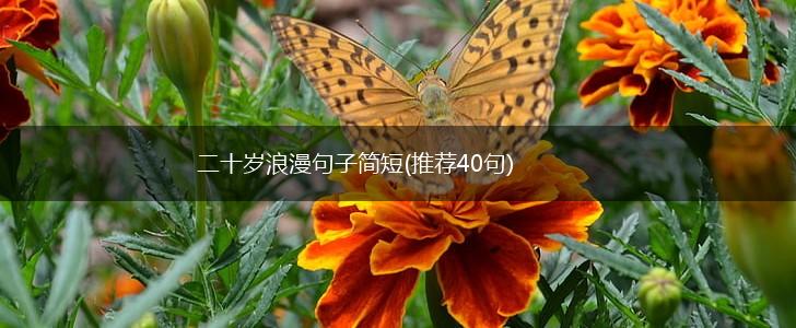 二十岁浪漫句子简短(推荐40句),第1张