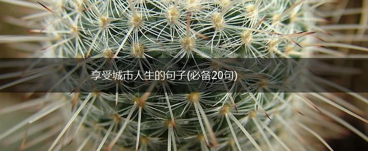 享受城市人生的句子(必备20句),第1张