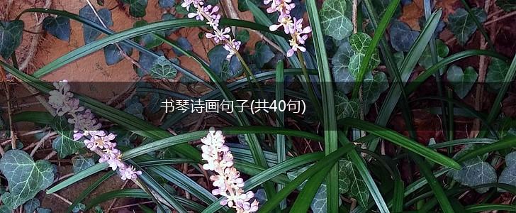 书琴诗画句子(共40句),第1张