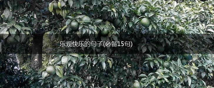 乐观快乐的句子(必备15句),第1张
