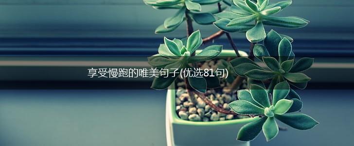 享受慢跑的唯美句子(优选81句),第1张