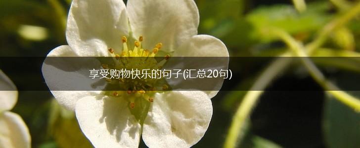 享受购物快乐的句子(汇总20句),第1张