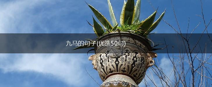 九马的句子(优选50句),第1张