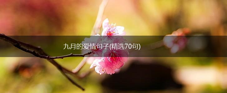 九月的爱情句子(精选70句),第1张