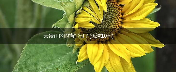 云贵山区的描写句子(优选10句),第1张