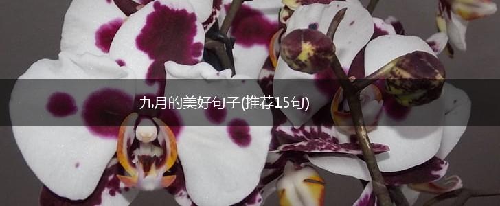 九月的美好句子(推荐15句),第1张