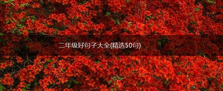 二年级好句子大全(精选50句),第1张