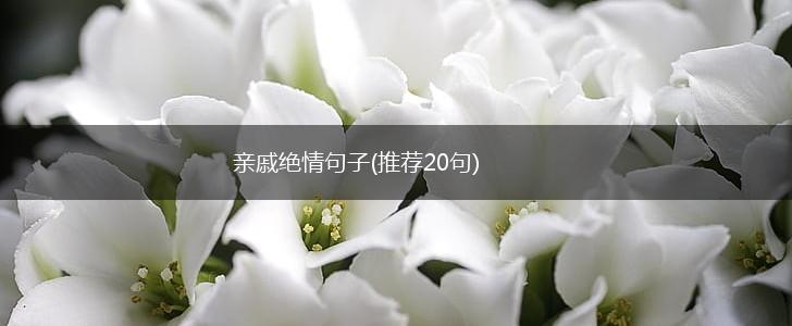 亲戚绝情句子(推荐20句),第1张