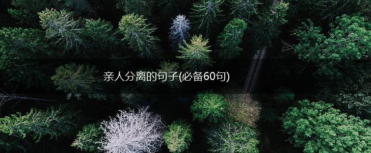 亲人分离的句子(必备60句),第1张