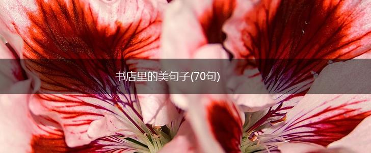 书店里的美句子(70句),第1张