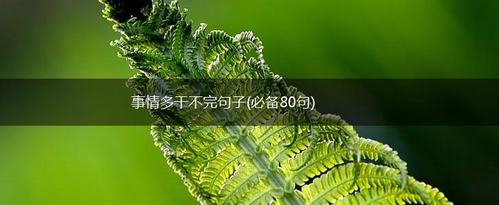 事情多干不完句子(必备80句),第1张