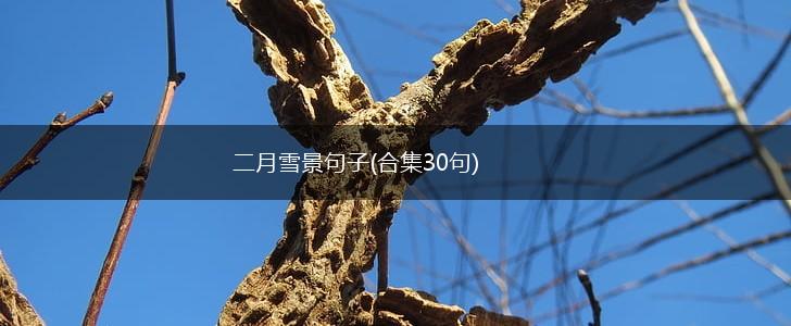 二月雪景句子(合集30句),第1张