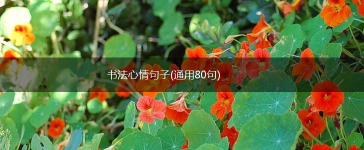 书法心情句子(通用80句),第1张