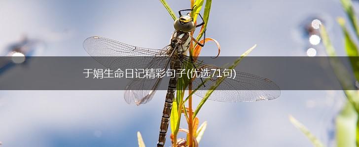 于娟生命日记精彩句子(优选71句),第1张