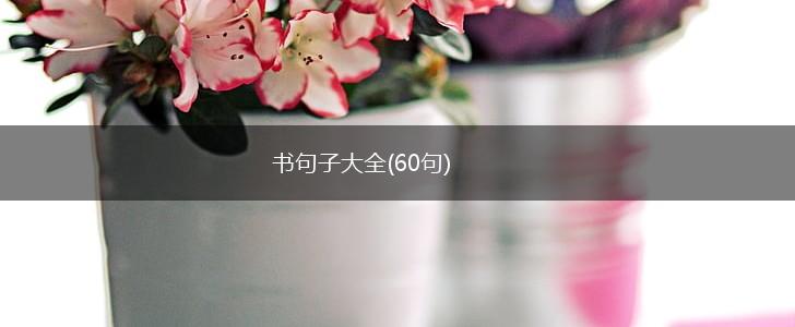 书句子大全(60句),第1张