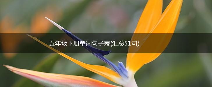 五年级下册单词句子表(汇总51句),第1张
