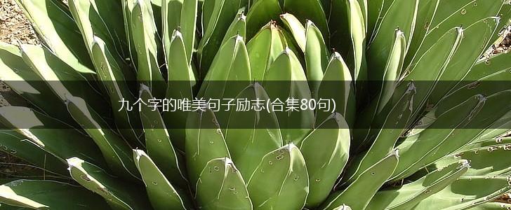 九个字的唯美句子励志(合集80句),第1张