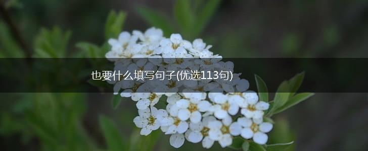 也要什么填写句子(优选113句),第1张