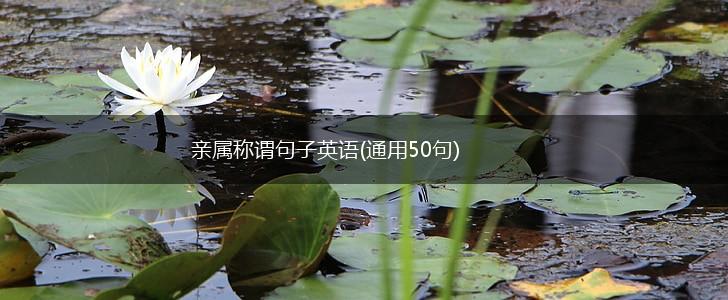 亲属称谓句子英语(通用50句),第1张