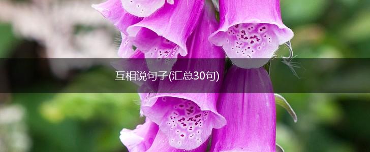互相说句子(汇总30句),第1张