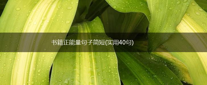 书籍正能量句子简短(实用40句),第1张
