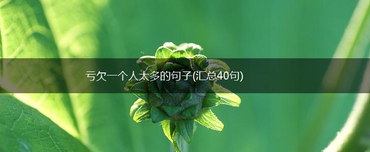 亏欠一个人太多的句子(汇总40句),第1张