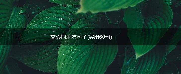 交心的朋友句子(实用60句),第1张