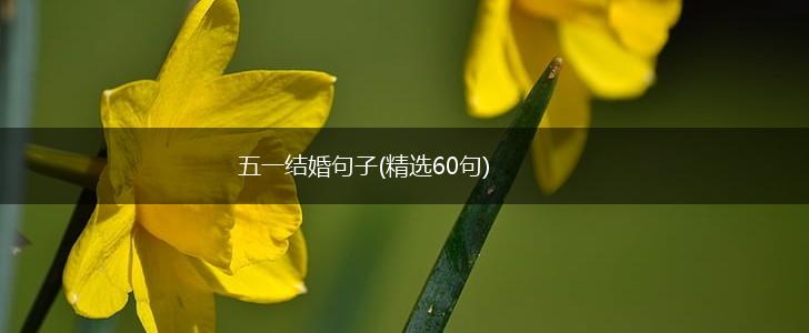 五一结婚句子(精选60句),第1张