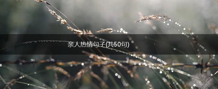 亲人热情句子(共50句),第1张