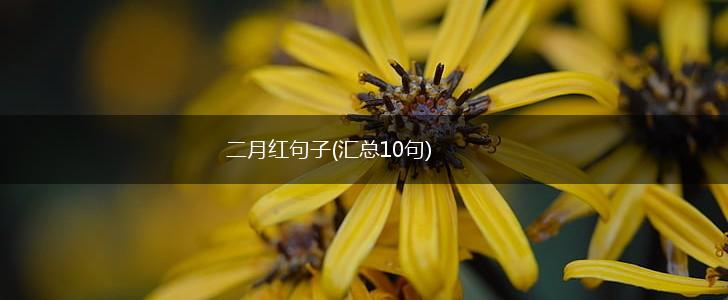 二月红句子(汇总10句),第1张