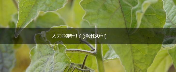 人力招聘句子(通用30句),第1张