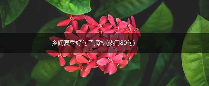 乡间夏季好句子摘抄(热门80句),第1张