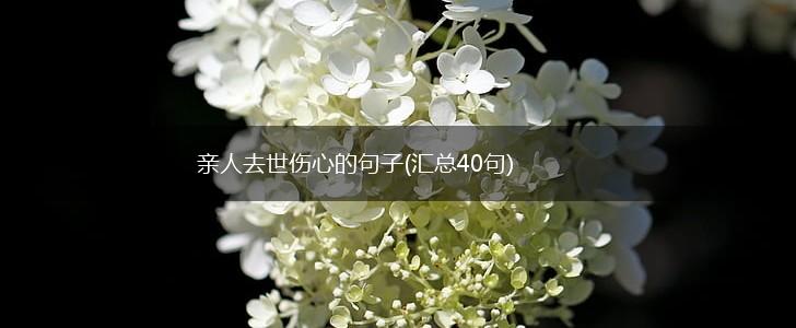 亲人去世伤心的句子(汇总40句),第1张