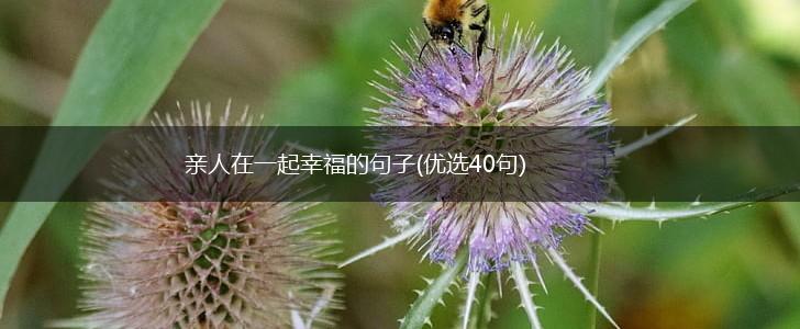 亲人在一起幸福的句子(优选40句),第1张