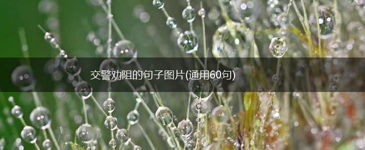 交警劝阻的句子图片(通用60句),第1张