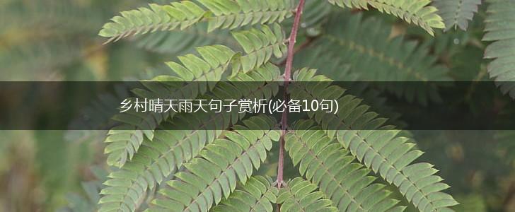 乡村晴天雨天句子赏析(必备10句),第1张