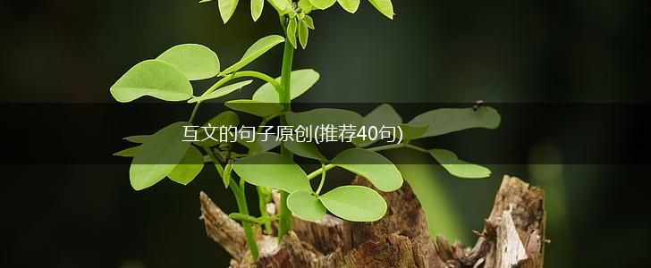 互文的句子原创(推荐40句),第1张