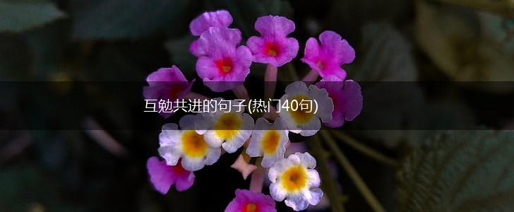 互勉共进的句子(热门40句),第1张
