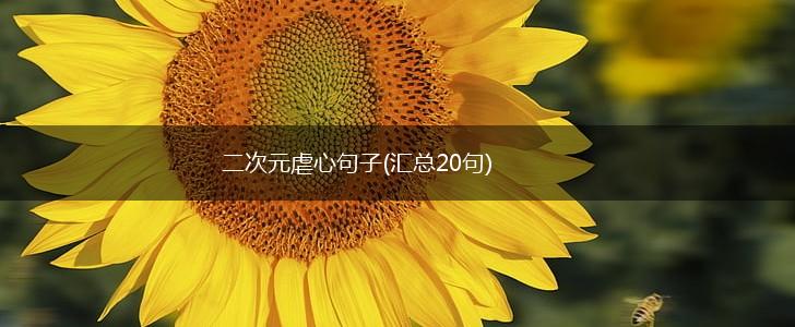二次元虐心句子(汇总20句),第1张