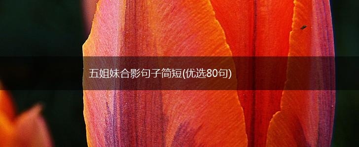 五姐妹合影句子简短(优选80句),第1张